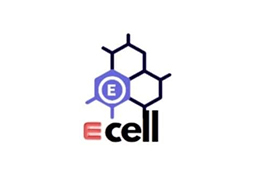 E-Cell Entrepreneurship Club